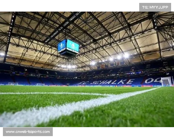 沙尔克04破产重组无缘升级 球迷发起拯救行动力挺俱乐部重生